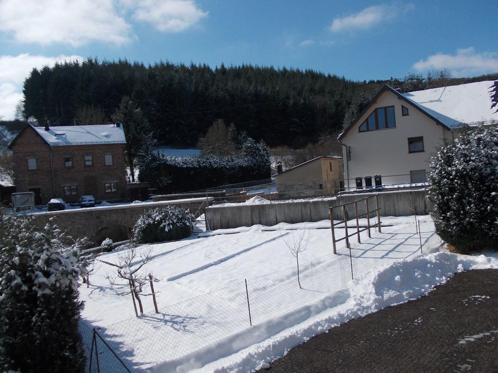 Lovely Mansion In With Terrace Holiday home